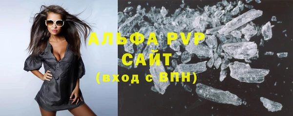 индика Инта