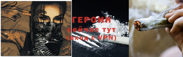 индика Инта