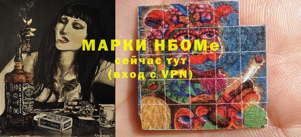 индика Инта