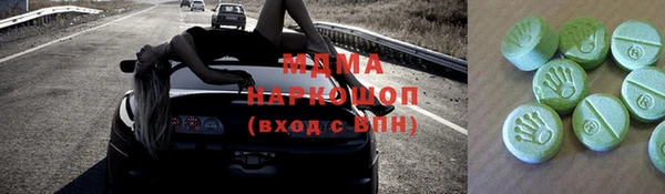 индика Инта