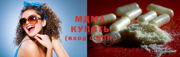 индика Инта