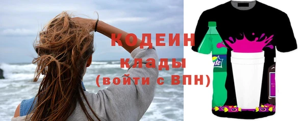 индика Инта