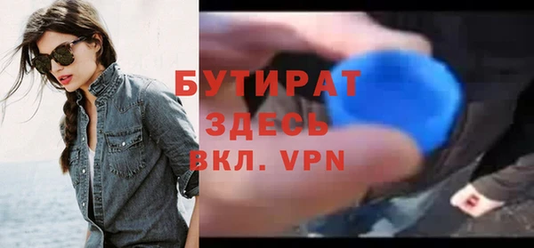 индика Инта