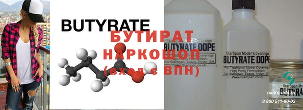 индика Инта