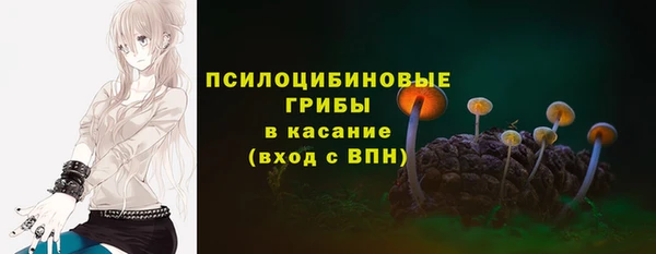 a pvp Инсар