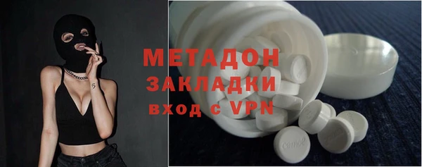индика Инта