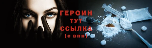 индика Инта
