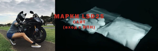 индика Инта