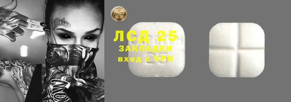 индика Инта