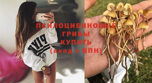 эйфоретик Иннополис