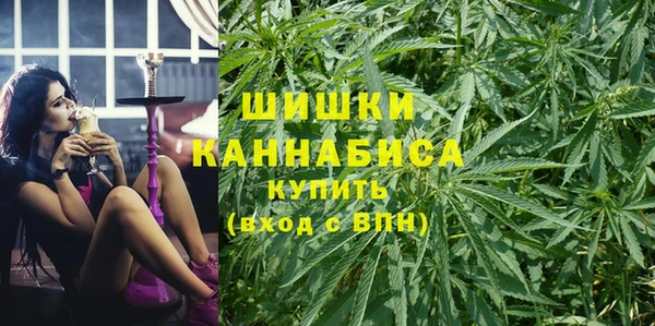 a pvp Инсар
