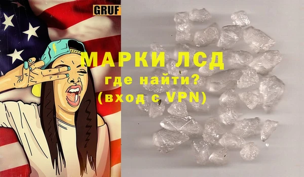 индика Инта