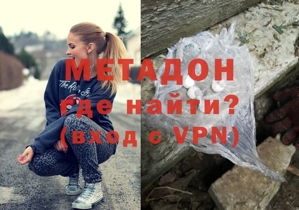 индика Инта