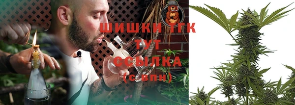 индика Инта