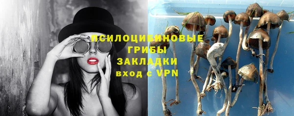 эйфоретик Иннополис